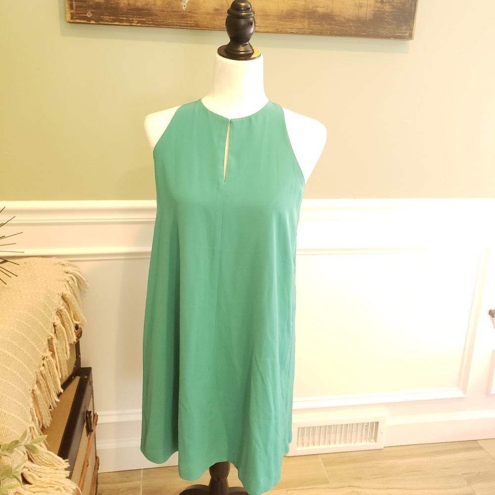 NWT Loft dress